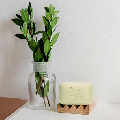 ALOE AVOCADO FACE & BODY SOAP - Forever Care